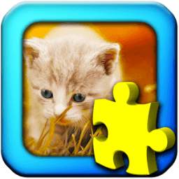 Kittens - Jigsaw Puzzles