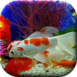 Aquarium Live Wallpaper icon