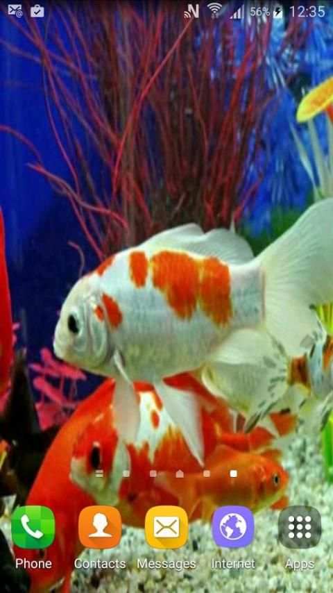 Aquarium Live Wallpaper screenshot 6