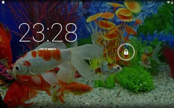Aquarium Live Wallpaper screenshot 3