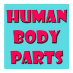 ikon Human Body Parts Kids