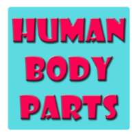 Human Body Parts Kids on 9Apps