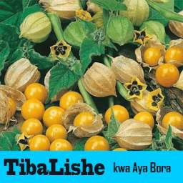 Tiba Lishe 1.0