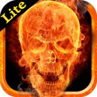 PicFire FX Lite on 9Apps
