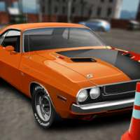 Backyard Parking Muscle Car 3D