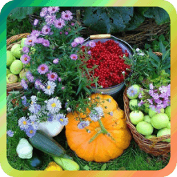 ikon Дача и огород