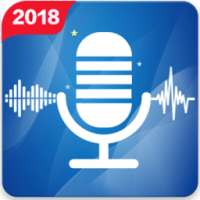 Voice Changer with effects