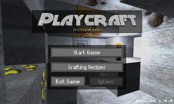 Playcraft Pro Pocket Edition screenshot 5