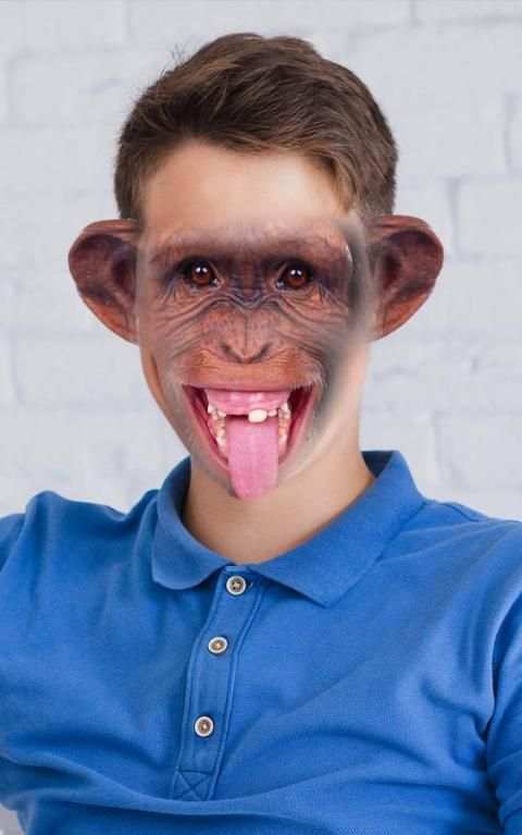 monkey face camera 2 تصوير الشاشة
