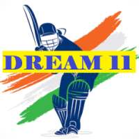 Cricket Playing 11 Team