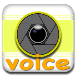 Date Camera Change Voice icon