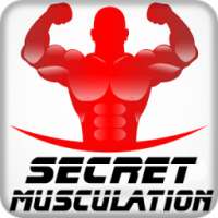 Les Secrets de La Musculation