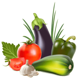 Organic Vegetables Farming أيقونة