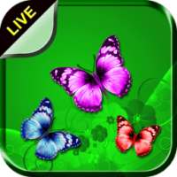 Butterfly Live Wallpaper on 9Apps