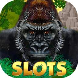 Gorilla Slots – Super Casino