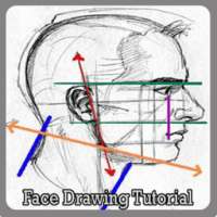 Face Drawing Tutorial