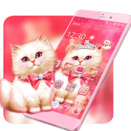 Kitten Pink Rose Theme 2D иконка