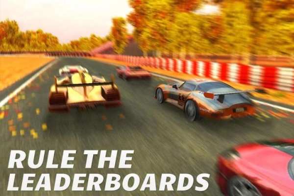 Real Need for Racing Speed Car скриншот 24