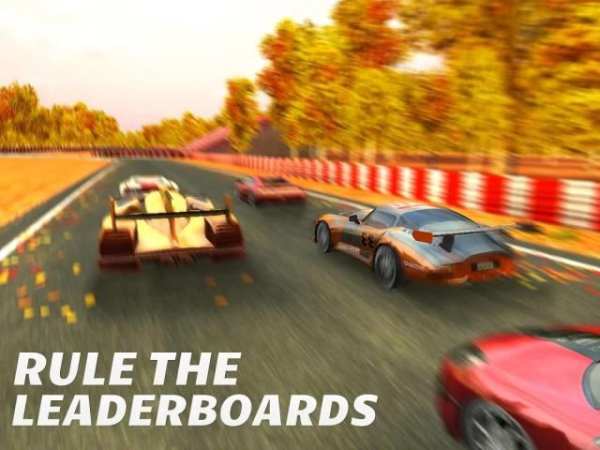 Real Need for Racing Speed Car скриншот 16