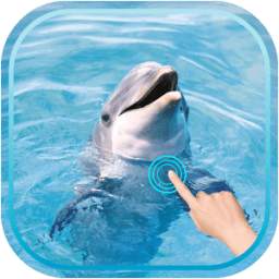 Magic Ripple Cute Dolphin 1.3