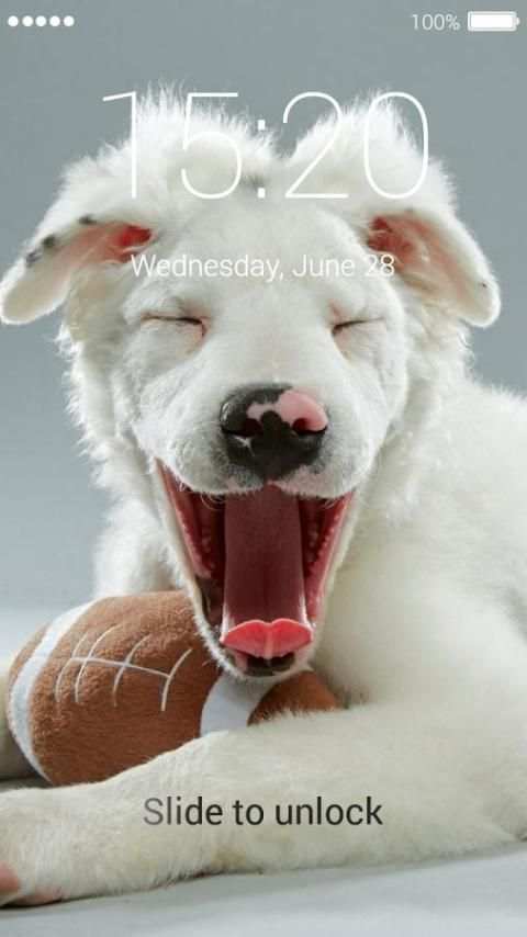 Cute Puppy Lock Screen 5 تصوير الشاشة