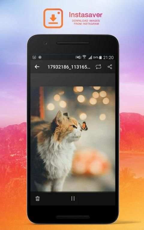 InstaSaver 5 تصوير الشاشة