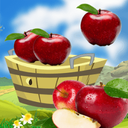 Real Apple Catcher: Extreme catcher أيقونة