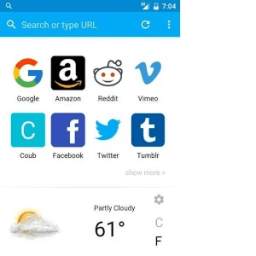 VIVO BROWSER 0.1