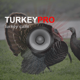 ikon Turkey Calls - Turkey Sounds
