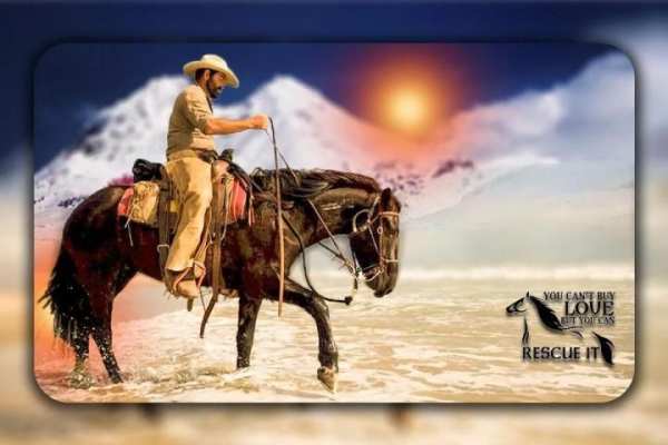 Horse Photo Editor 1 تصوير الشاشة