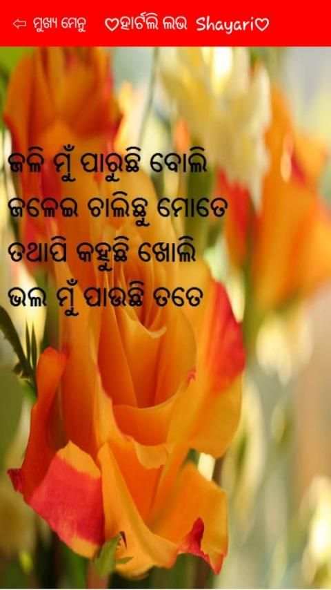 Odia Love Shayari screenshot 1