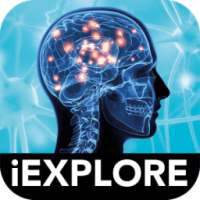 The Brain iExplore AR