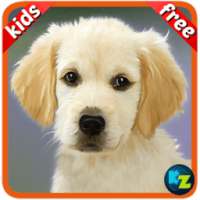 Kids Preschool Learning Cards on 9Apps