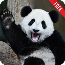 Животные для детей и малышей + Игры, Стихи, Пазлы icon