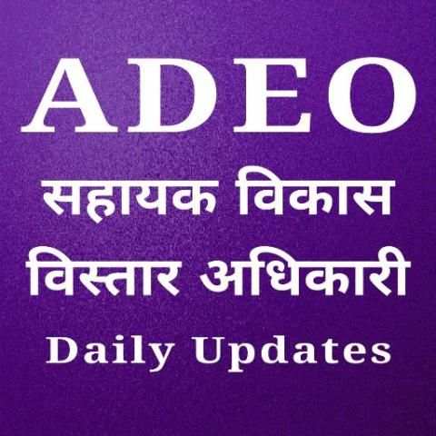 ADEO 2017 скриншот 2