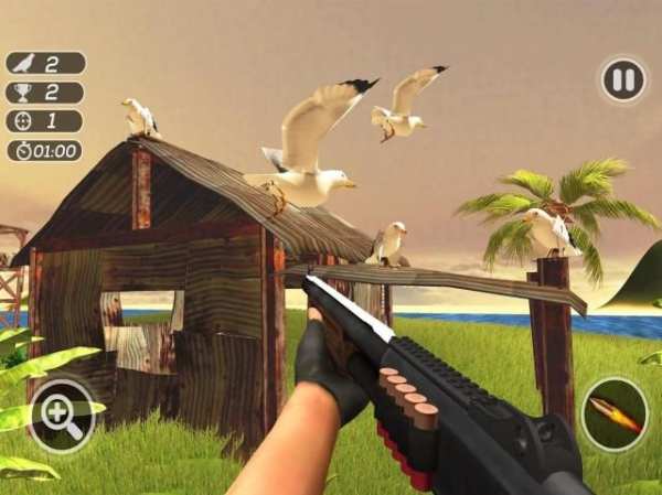Birds Hunting Target Game screenshot 4