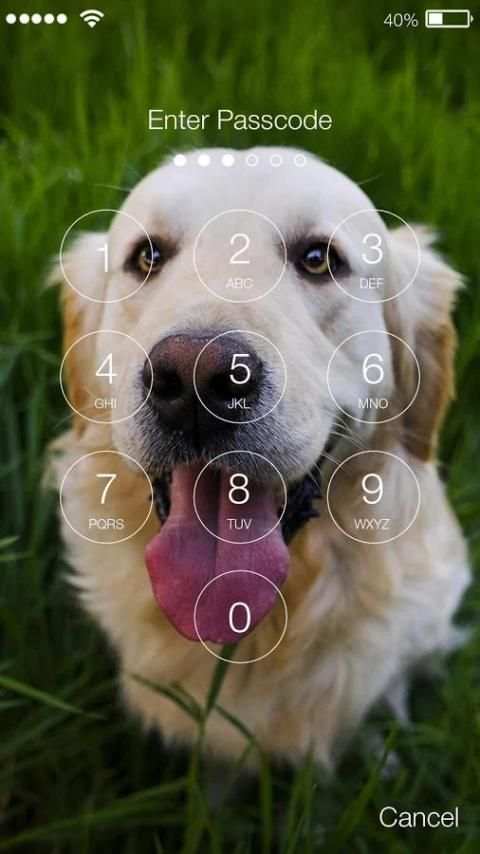 Golden Retriever Dog Ladrador Lock Screen скриншот 2