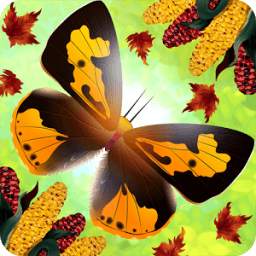 Flutter: Butterfly Sanctuary