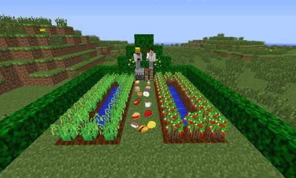 Torcherino Mod For MC скриншот 2