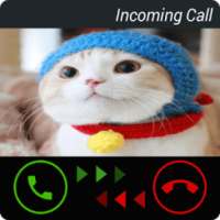 الاتصال بالقطة