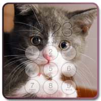 Cat Lock Screen Background