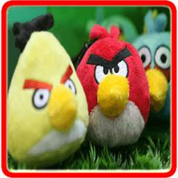 Birds Games 1.1