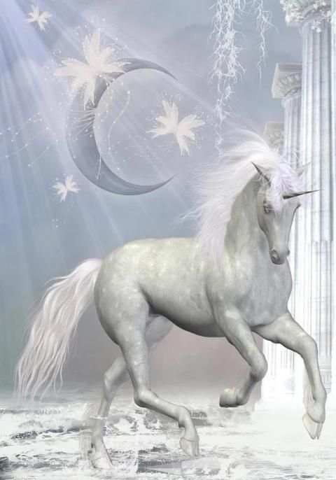Unicorn Game screenshot 1