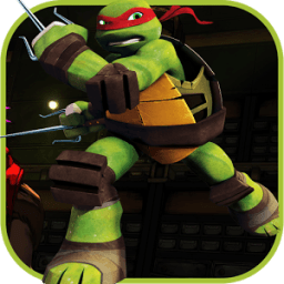 ikon ninja streets turtle