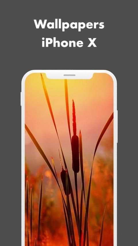 Wallpapers for iphone X screenshot 3