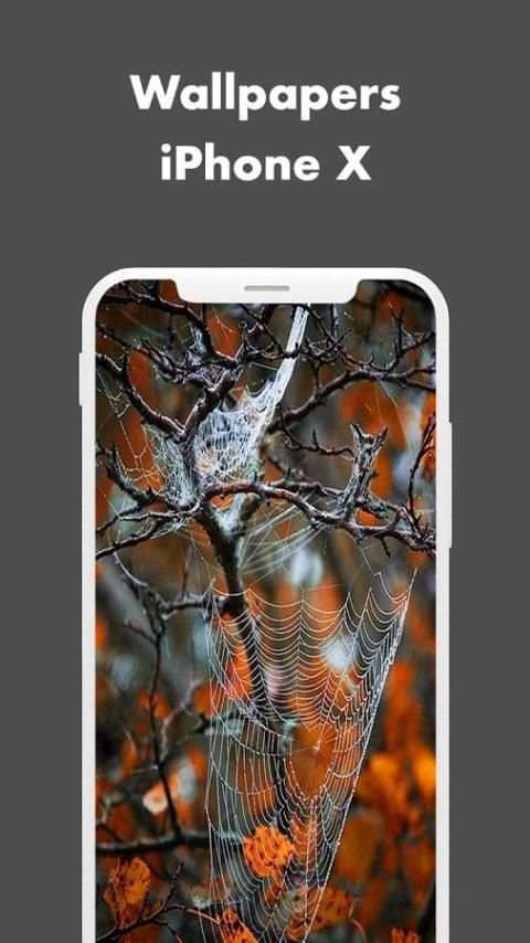 Wallpapers for iphone X screenshot 1