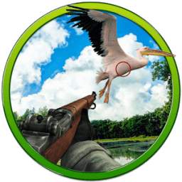 Sky Fly Birds Hunter Sniper 1.0