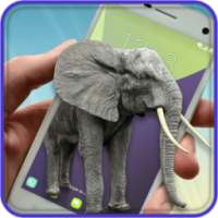 Elephant On Screen Prank on 9Apps