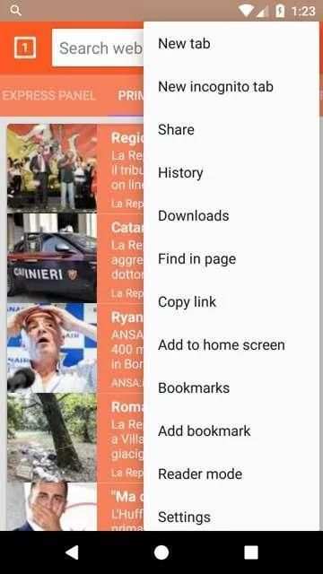 Flash Browser screenshot 3