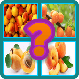 Name The Fruit - Kids Funny Game أيقونة